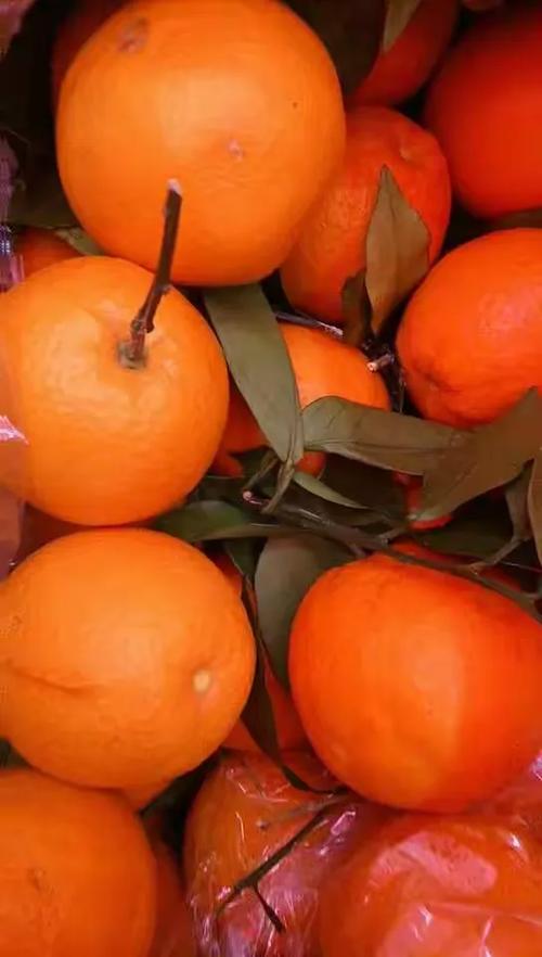 老姜水果批发零售国产进口高中低档水果,干果,以及各种休闲食品